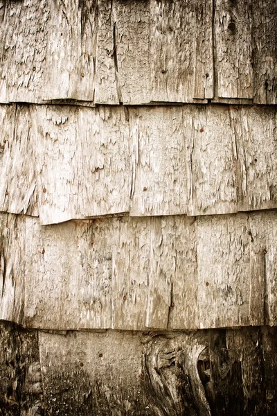 Holzstruktur — Stockfoto