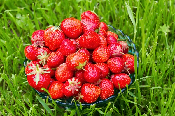 Ciotola con fragole — Foto Stock