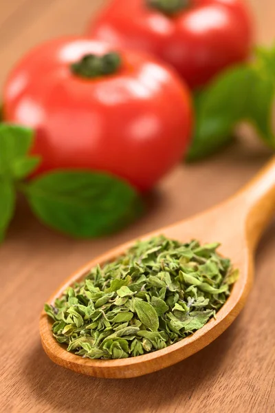 Dried Oregano — Stock Photo, Image