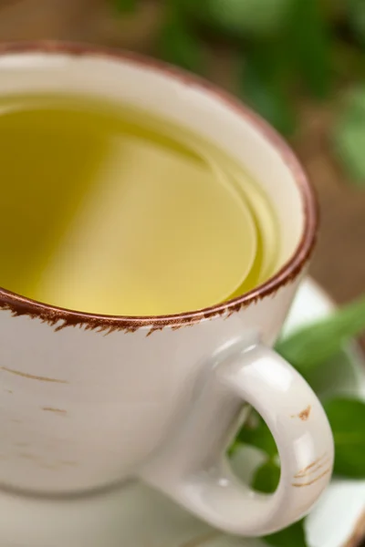 Mint Tea — Stock Photo, Image