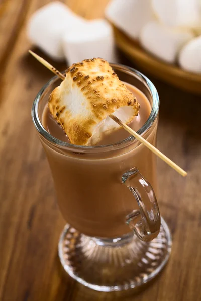 Chocolate caliente y malvavisco tostado — Foto de Stock
