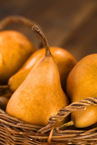 Bosc Pears — Stock Photo, Image