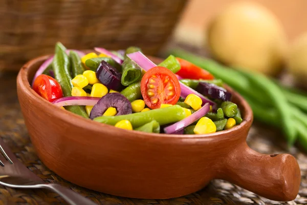 Цветной салат из фасоли — стоковое фото