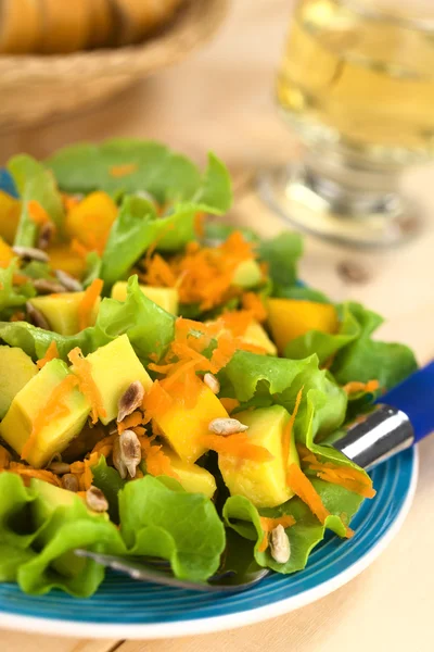 Salade d'avocat et de mangue — Photo