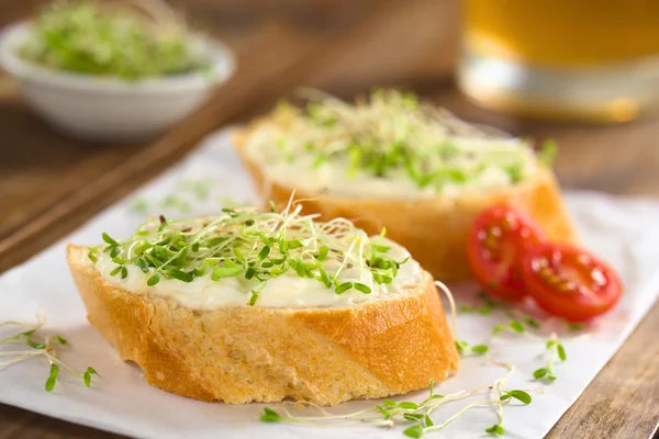 Baguette con queso crema y brotes — Foto de Stock