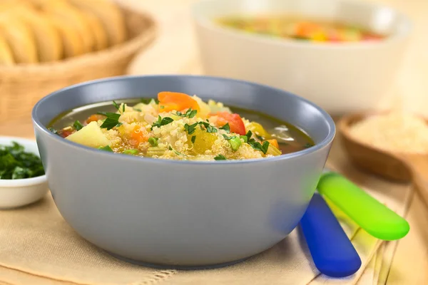 Quinoa e Sopa de Legumes — Fotografia de Stock