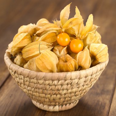 Physalis