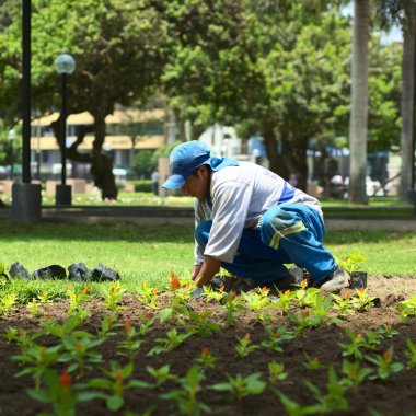 Bahçıvan parque de kennedy miraflores, lima, Peru