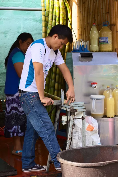 Cutting Sugar Cane in Banos, Ecuador — Stock Photo, Image