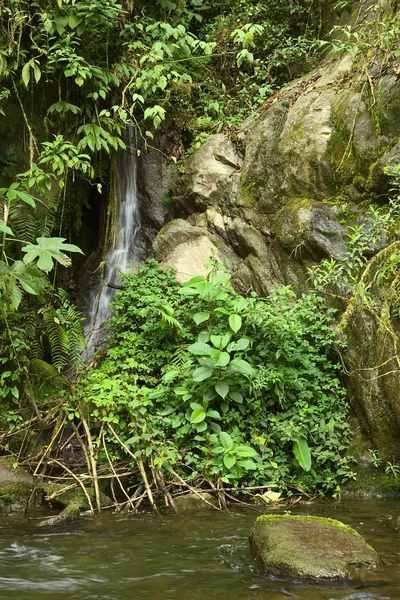 Small Waterfall — Stock Photo, Image