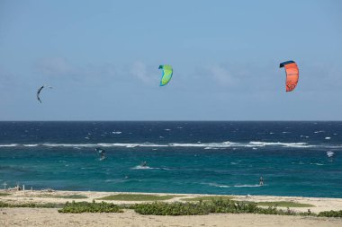BOCA GRANDI, ARUBA - 17 Aralık 2020: Kite ve kanat sörfçüleri San Nicolas kasabası yakınlarındaki Karayip adası Aruba 'nın güneydoğu sahilinde Boca Grandi plajında (Seçici Odaklanma, sörfçülere odaklan))