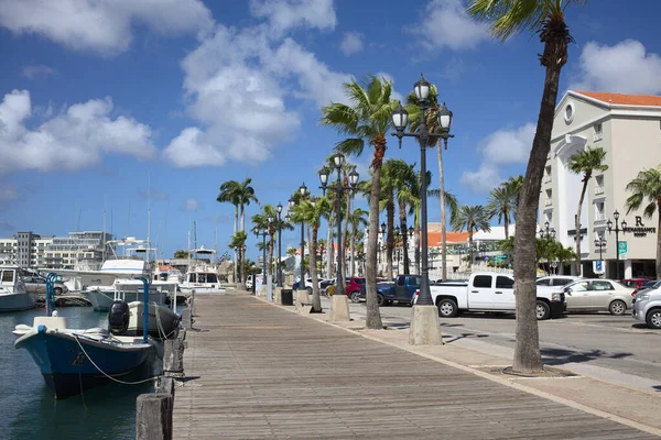 Oranjestad Aruba Aralık 2020 Limandaki Balıkçı Tekneleri Otopark Rönesans Resort — Stok fotoğraf