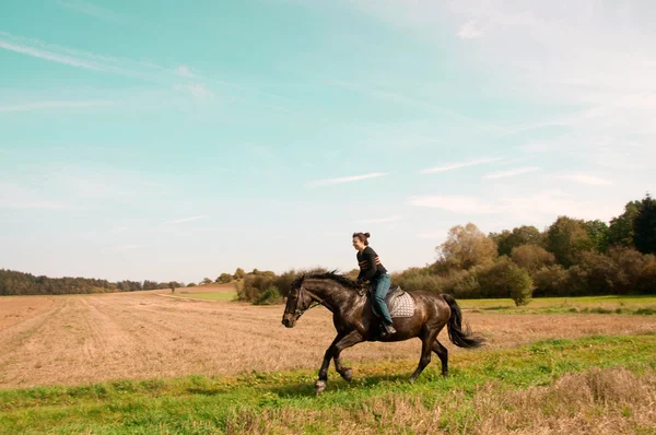 Passeios de equestre na encosta . — Fotografia de Stock