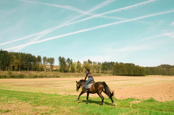 Horsewoman βόλτες με πλήρη ταχύτητα. — Φωτογραφία Αρχείου