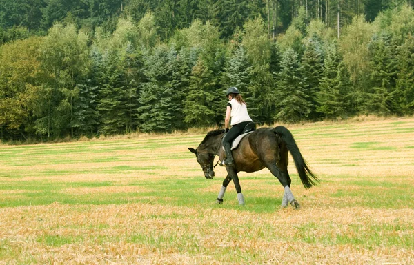 Equestrienne — Stock Photo, Image