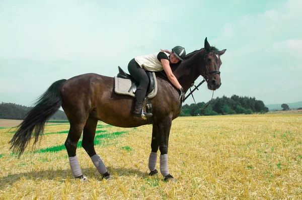 Equestrienne och häst. Stockbild