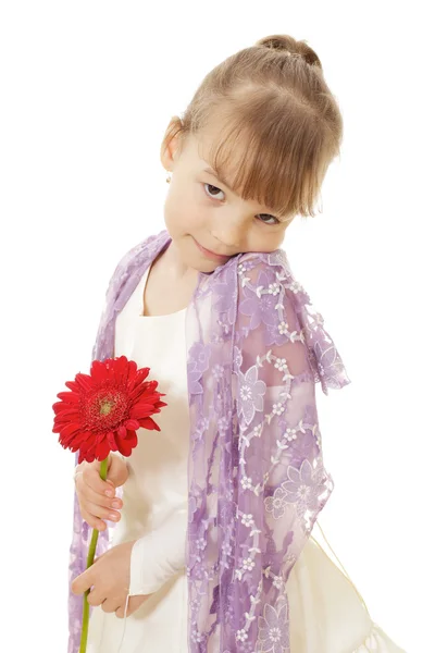 Menina tímida no vestido segurando flor vermelha — Fotografia de Stock