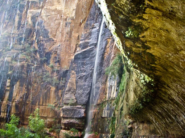 Regentropfen verbinden sich mit Wasserfall am Zion — Stockfoto