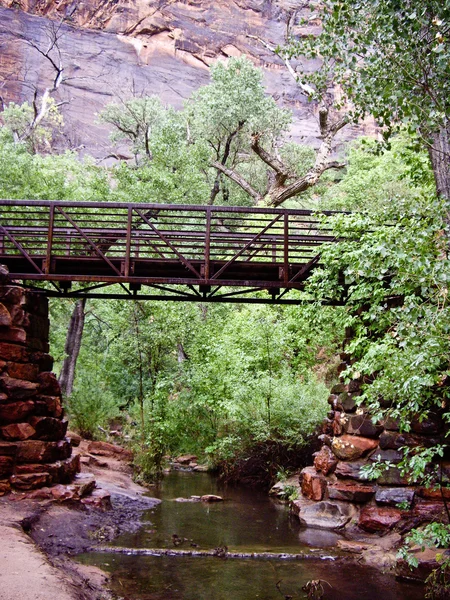 Bridge at Zion river — Stock Photo, Image