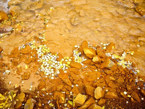 Arroyo fangoso con hojas de álamo amarillo — Foto de Stock