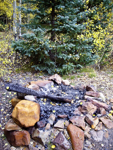 костер в лесу