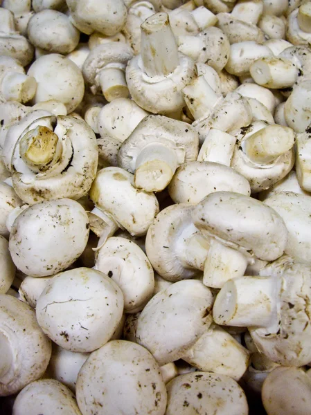 White Button Mushrooms — Stock Photo, Image