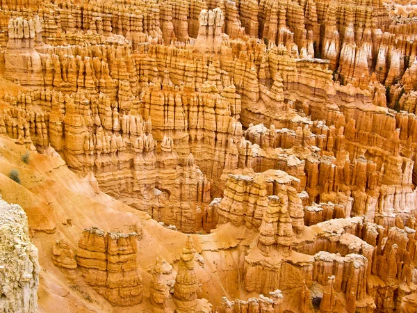 Bryce Hoodoos — Stockfoto