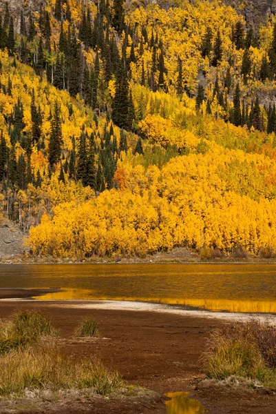 Scène d'automne doré — Photo