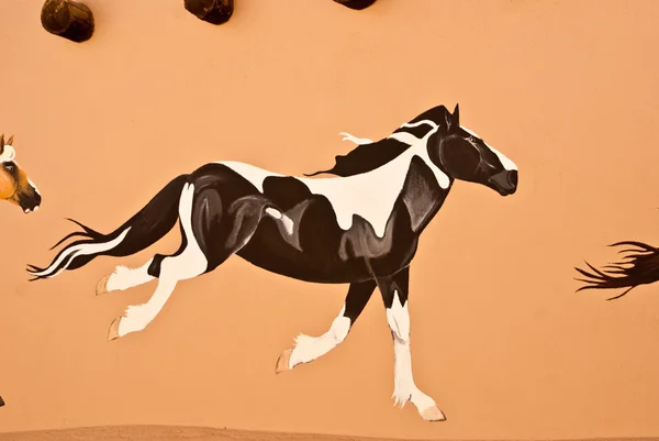 Czarno-biały koń — Zdjęcie stockowe