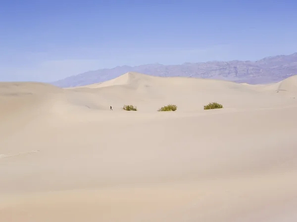 Small person in a big desert — Stock Photo, Image