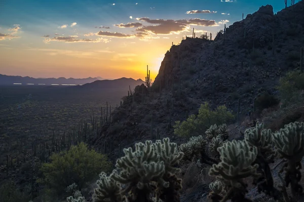 Tramonto nel deserto — Foto Stock