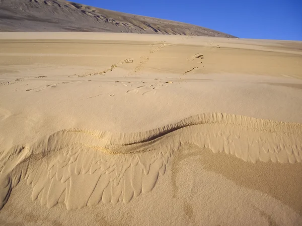 Glijdende sands — Stockfoto