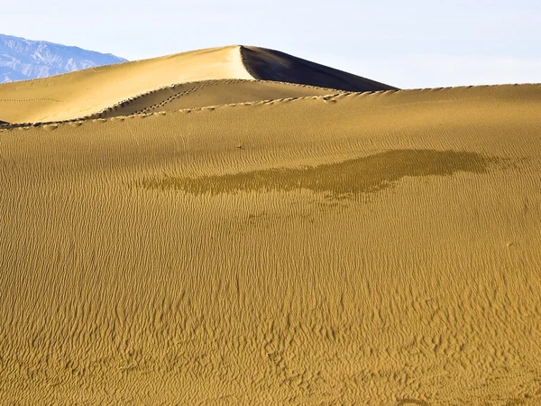 Empreintes de pas sur les dunes d'hiver — Photo