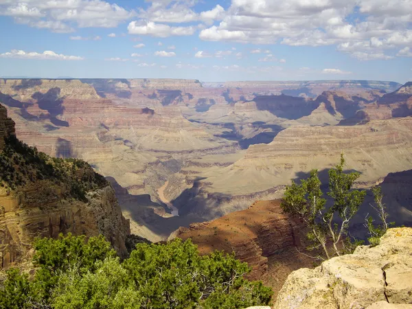 Na okraji grand canyon — Stock fotografie