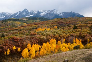 colorado dağlarında sonbaharın son rengi