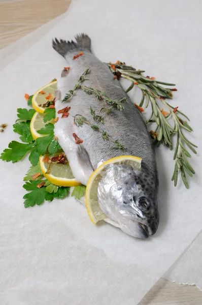 Fresh trout with lemon and spices — Stock Photo, Image