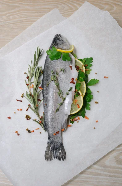 Fresh trout with lemon and spices — Stock Photo, Image