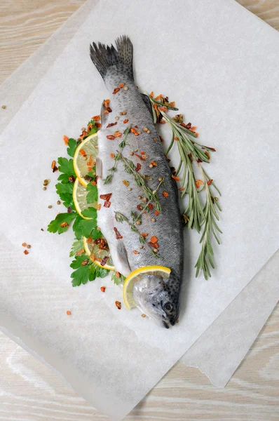 Fresh trout with lemon and spices — Stock Photo, Image