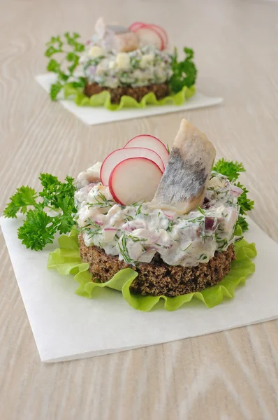 Arenque salgado tartare com maçã e rabanete — Fotografia de Stock