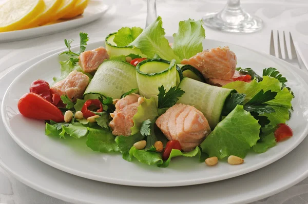 Salada de salmão — Fotografia de Stock