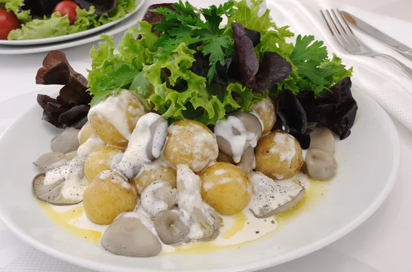 Картофель с грибами и сливочным соусом — стоковое фото