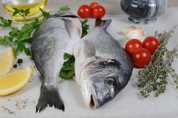 Fresh sea bream (Dorado) — Stock Photo, Image