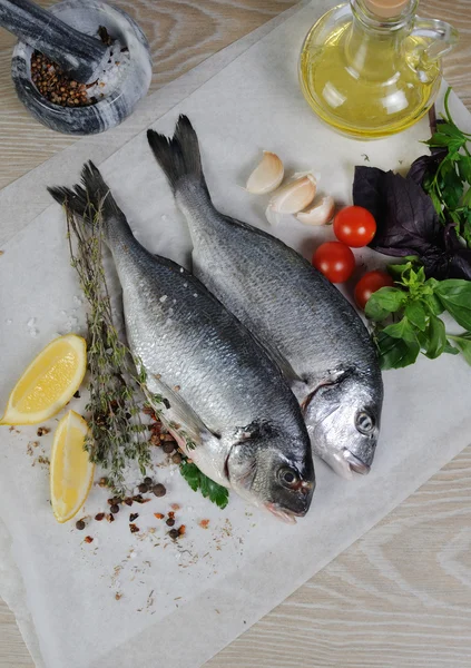 Fresh sea bream (Dorado) — Stock Photo, Image