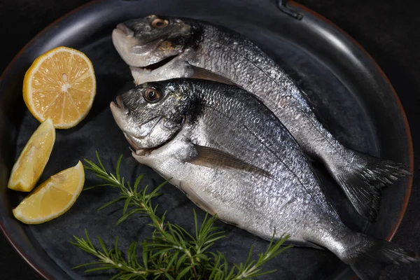 Fresh Raw Dorado Tin Tray Lemon Slices Rosemary Mockup Fish — Stock Photo, Image