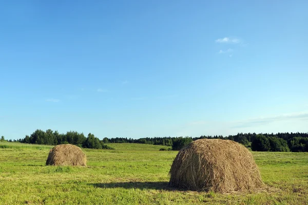 Haystack sur prairie — Photo