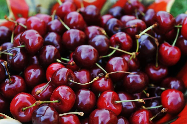 Freshly cherries — Stock Photo, Image