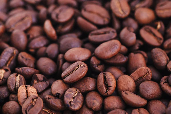 Coffee beans — Stock Photo, Image