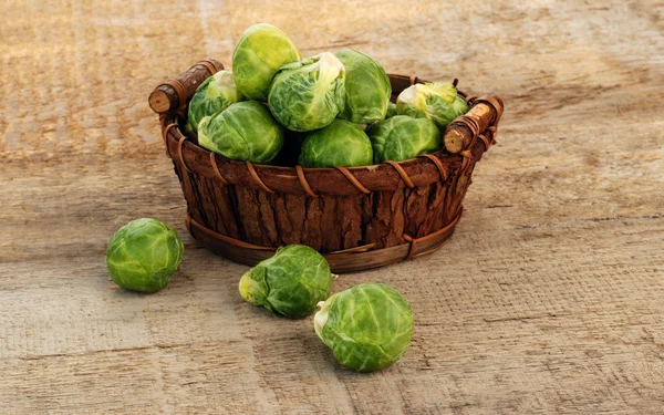 Rosenkohl sprießt — Stockfoto