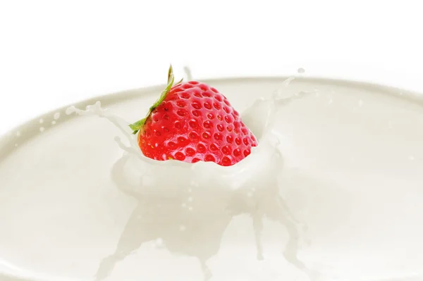 Aardbei druppels in melk en splash — Stockfoto