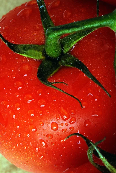 Fresh tomatoes — Stock Photo, Image